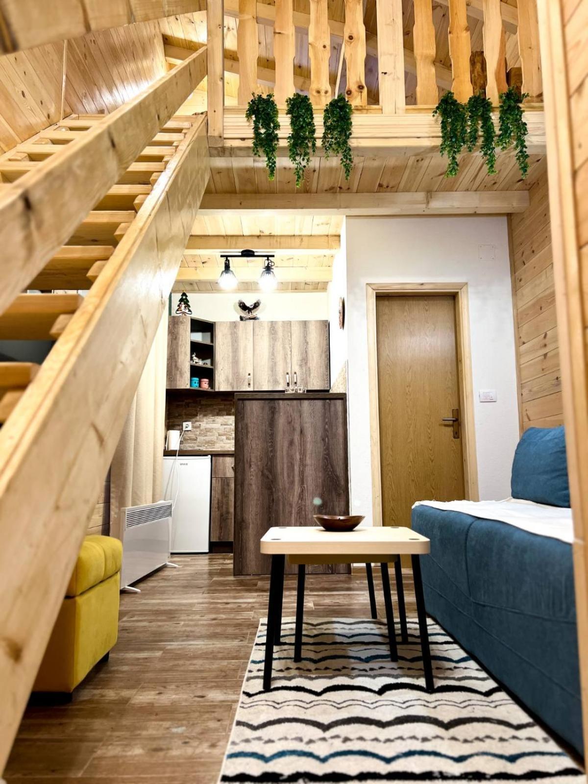 Apartmani Bozana Vojinovic Žabljak 外观 照片