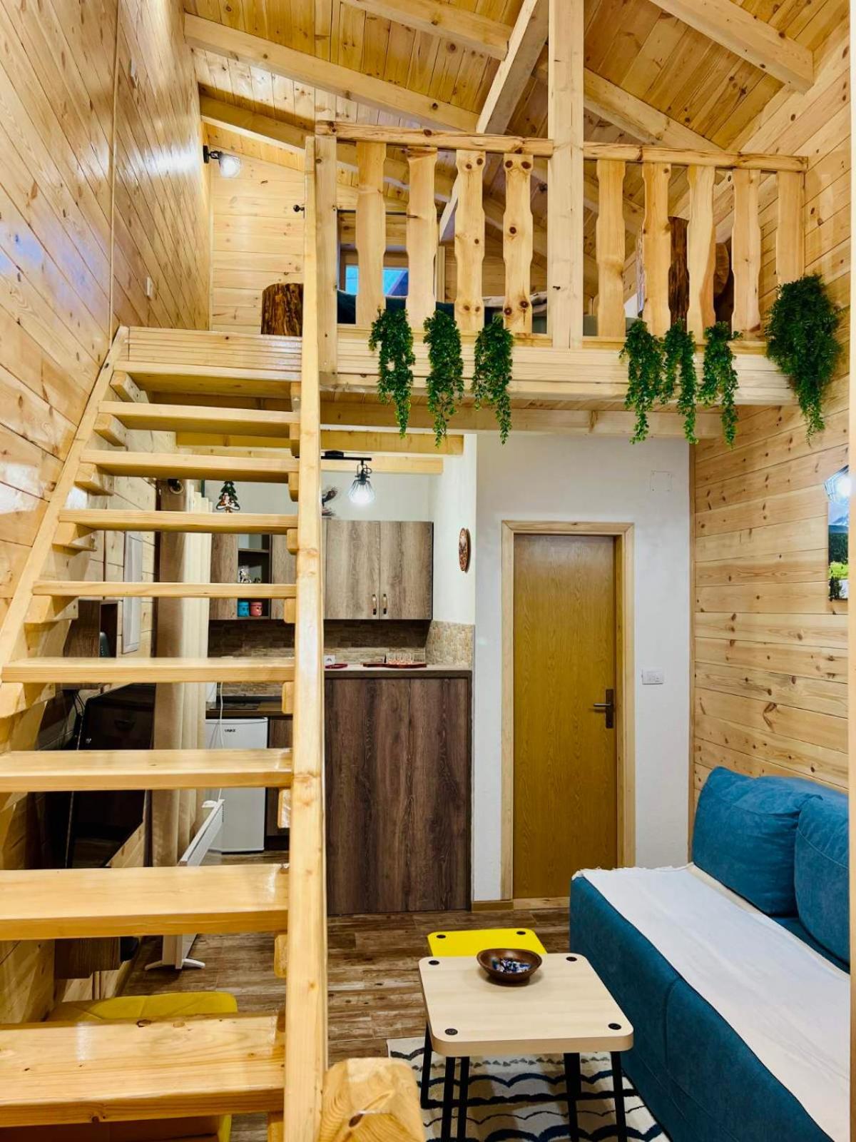 Apartmani Bozana Vojinovic Žabljak 外观 照片